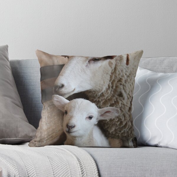 Item preview, Sheep Baby designed and sold by martin20011.