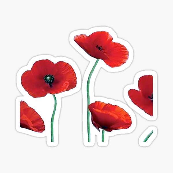 Item preview, Poppies designed and sold by inavantiCreates.