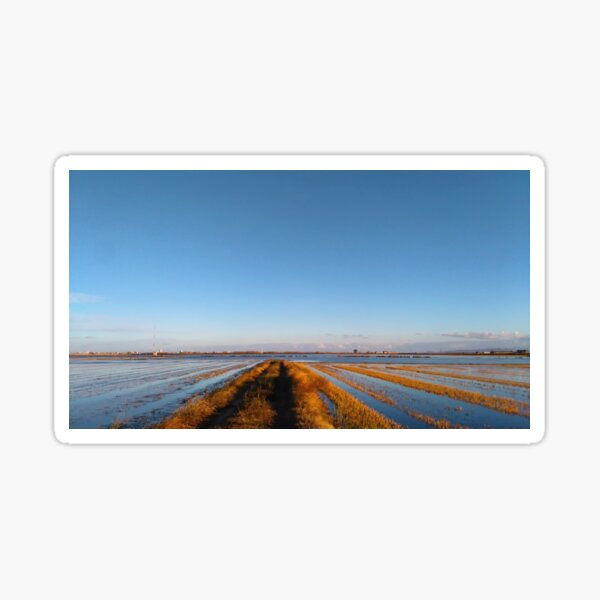 flooded rice paddies Sticker