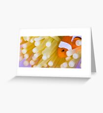 clownfish Greeting Card