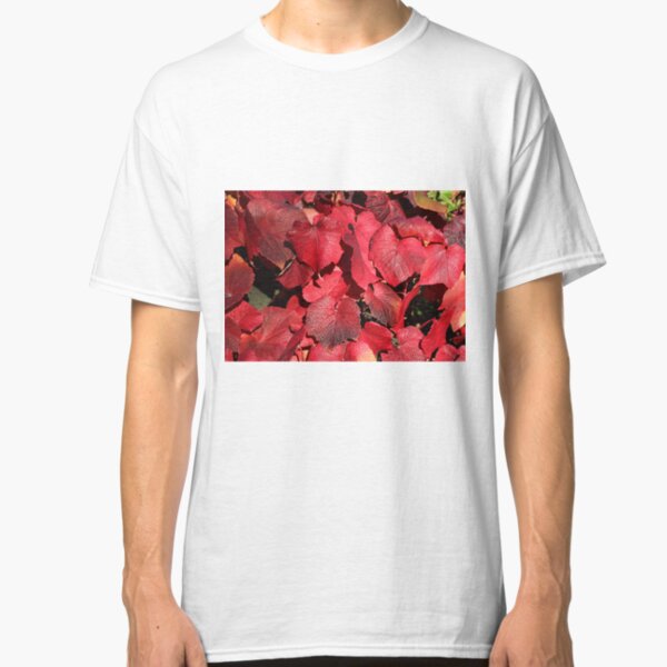 Red, The Colour of Autumn. Classic T-Shirt