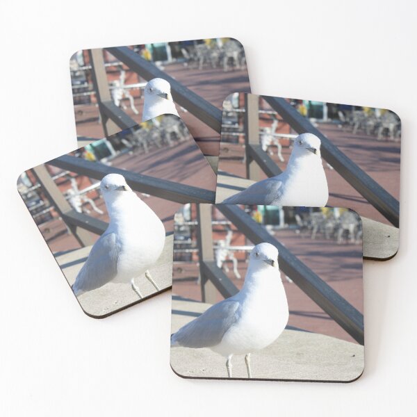 Item preview, Seagull designed and sold by GymWiller.