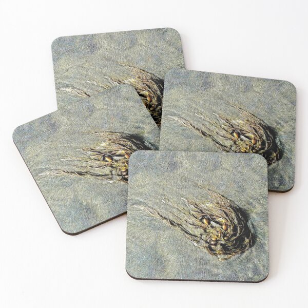 Item preview, Seaweed on the Seashore designed and sold by PictureNZ.