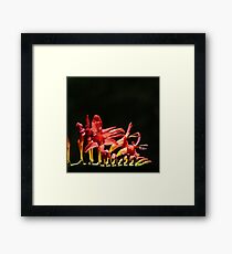 Instrumental... Framed Print
