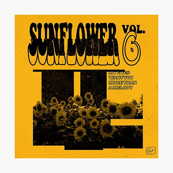 Sunflower - Harry Styles (Yellow) Photographic Print