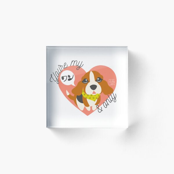 You're My ワン and Only Beagle Acrylic Block