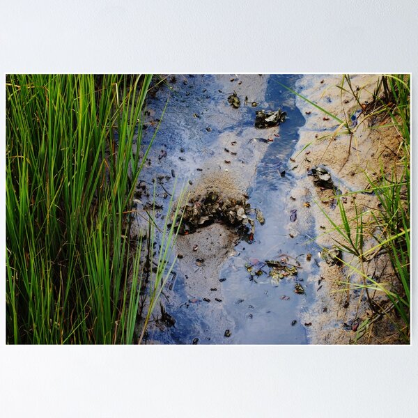 Item preview, Blue Blue Waters designed and sold by Corinne Buescher.