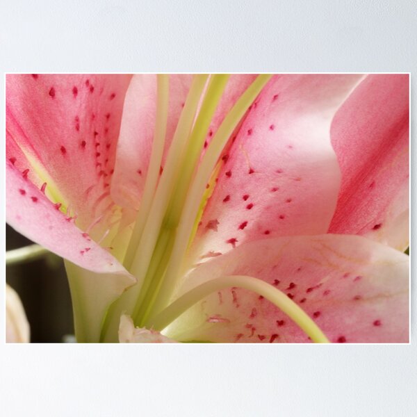 Item preview, oriental lily designed and sold by lensbaby.