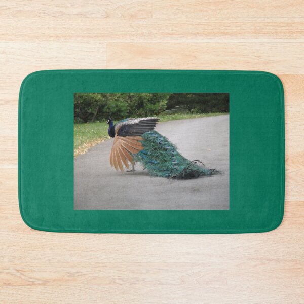 Item preview, Peacock Strutting along a Path Photograph designed and sold by naturegallery.