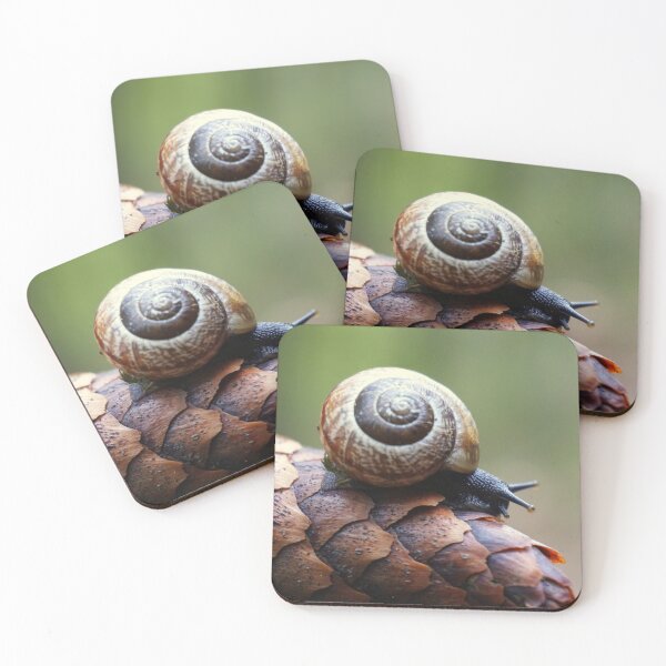 Item preview, Snail in the forest on a pine cone designed and sold by ToniStauche.