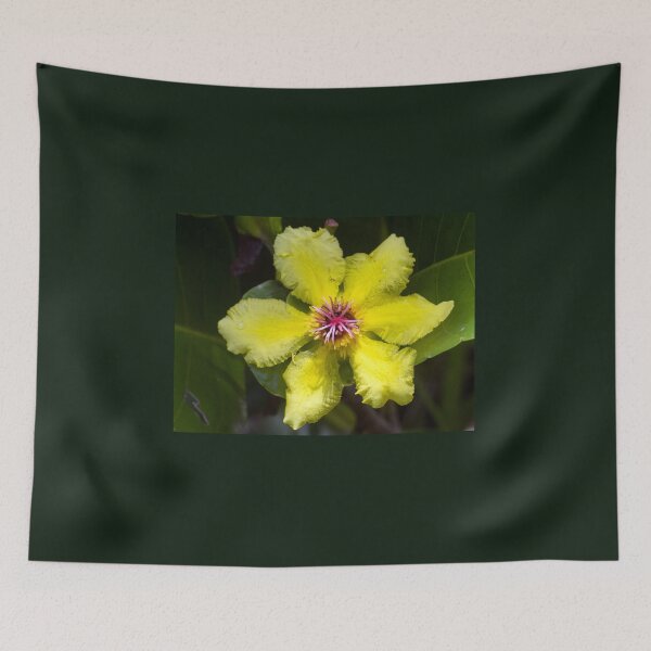 Item preview, Flower of Dilenia alata (Red Beech) tree. designed and sold by Connie Pinson.