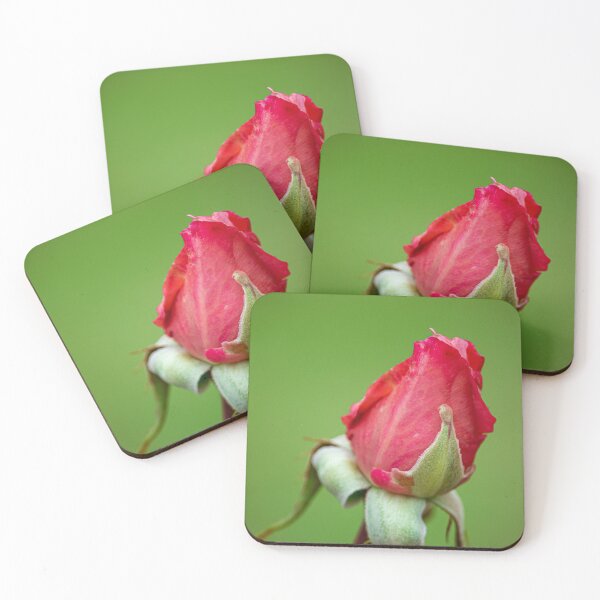 Item preview, Red Rose Bud designed and sold by DPalmer.
