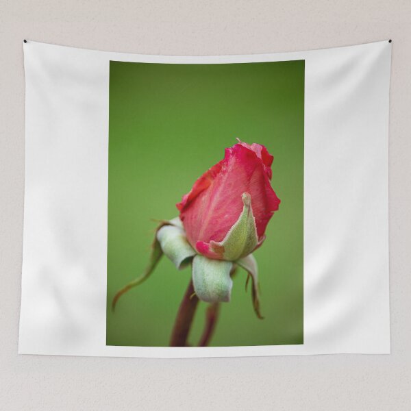 Item preview, Red Rose Bud designed and sold by DPalmer.