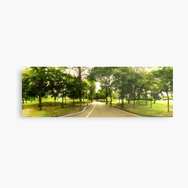 Path Less Traveled - Park Panorama Metal Print