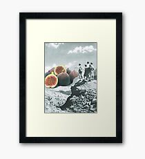 Fig dreams Framed Print