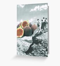 Fig dreams Greeting Card