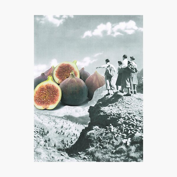 Fig dreams Photographic Print