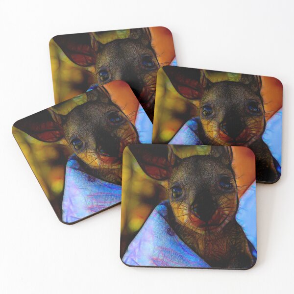 Item preview, Saved from the Fires - Joey Kangaroo designed and sold by Marlene Watson-Hall.