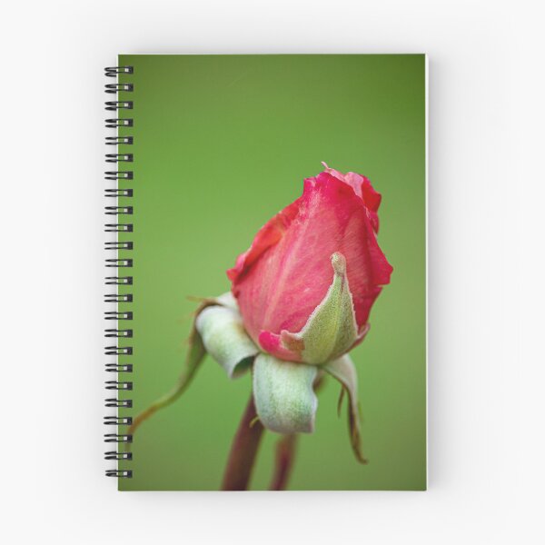 Item preview, Red Rose Bud designed and sold by DPalmer.