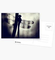 The Geisha Awaits... Postcards