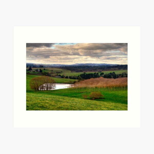 Item preview, Winter in Balhannah, Adelaide Hills designed and sold by Elana Bailey.