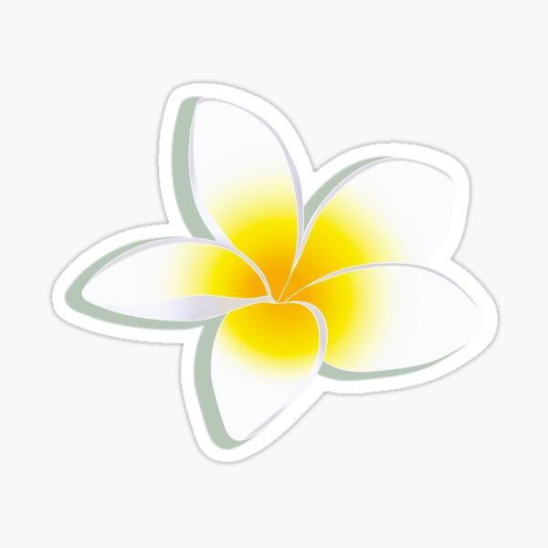 Plumeria Blossom in White and Yellow Sticker