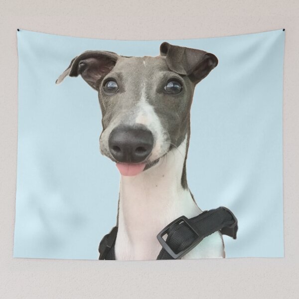 Item preview, Italian Greyhound  designed and sold by LemmyJ.