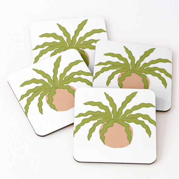 Item preview, Birds Nest Fern designed and sold by cassidyjadeyy.