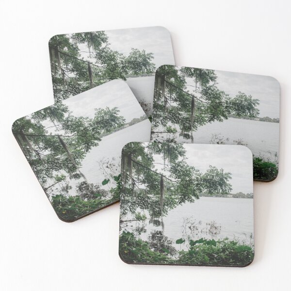 Item preview, Winter Park, Florida designed and sold by LindsayVTravels.