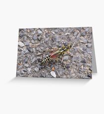 Grass Hopper Greeting Card