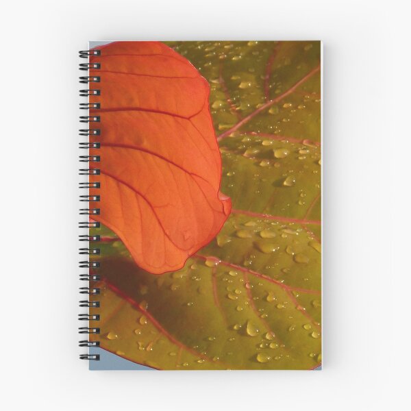 Item preview, tropical plants - plantas tropicales designed and sold by Bernhard Matejka.