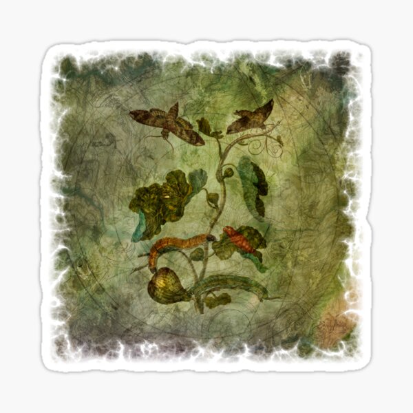 Botanica Malefactum 7 - Fig Sticker