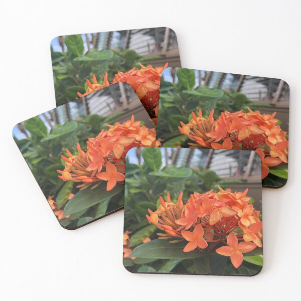 Item preview, Tangerine Flowers designed and sold by Morgen Sellier.