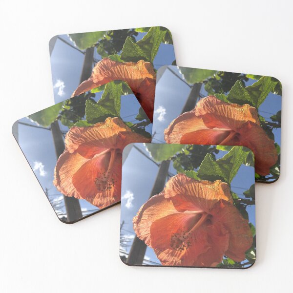 Item preview, Hibiscus in Makewao designed and sold by Morgen Sellier.