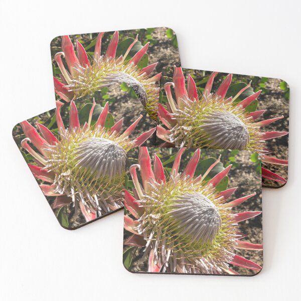Item preview, Protea 4 designed and sold by Morgen Sellier.