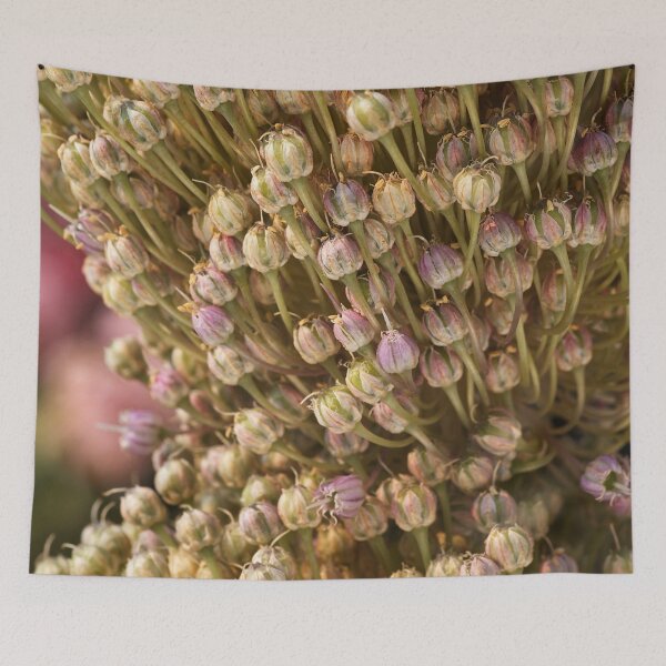 Item preview, Two Drying Garlic Flowers designed and sold by Joy Watson - Natural Light Photography .
