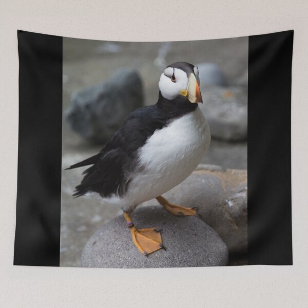 Item preview, Alaska the Perfect Puffin designed and sold by PtDefianceAAZK.