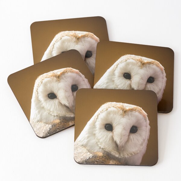 Item preview, Barn Owl designed and sold by habilephoto.