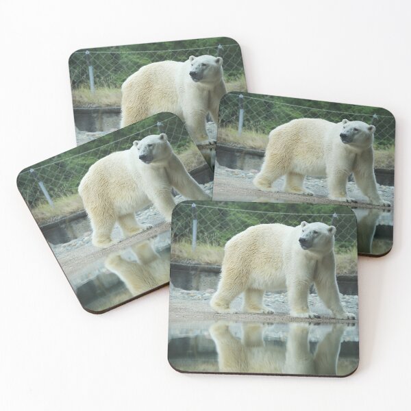 Item preview, Polar Opposite designed and sold by PtDefianceAAZK.