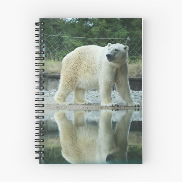 Item preview, Polar Opposite designed and sold by PtDefianceAAZK.
