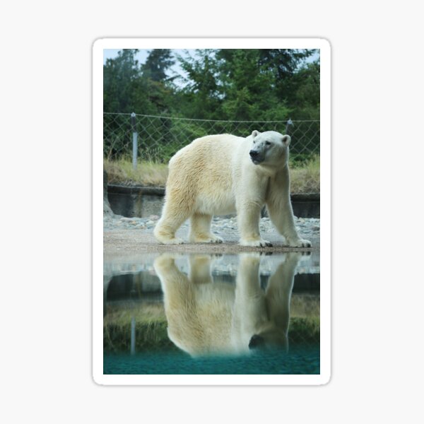 Item preview, Polar Opposite designed and sold by PtDefianceAAZK.