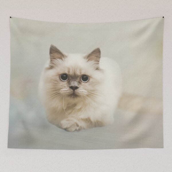 Item preview, Himalayan Cat designed and sold by Elisabeth Lucas.
