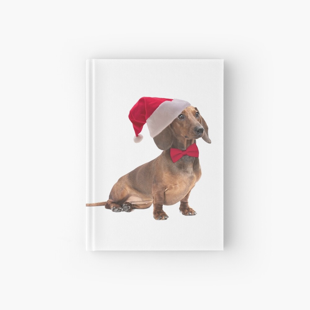 dachshund santa