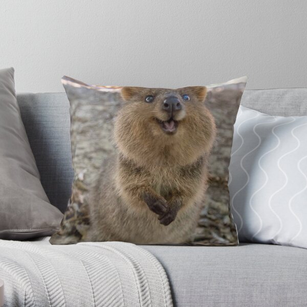 Soyez heureux .. Comme un Quokka !! Coussin