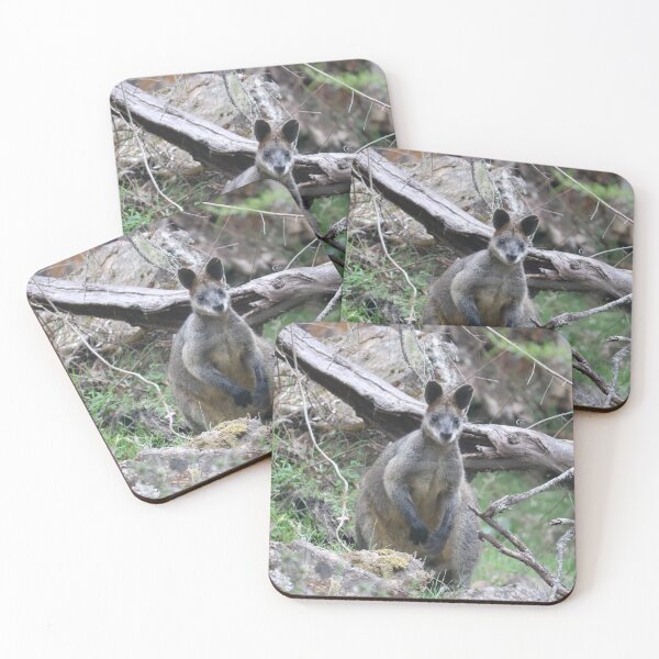 Item preview, Swamp Wallaby designed and sold by Greg Jones Photography and Travel.