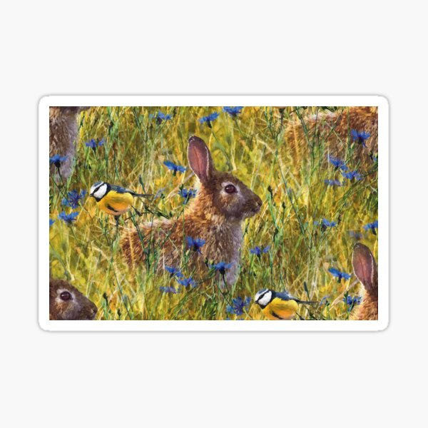 "RABBIT IN A CORNFLOWER MEADOW" Sticker for Sale by LindyWright Redbubble