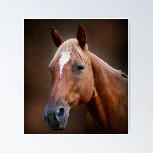 Aperçu de l'œuvre Fox - Quarter Horse créée et vendue par Sandy Keeton.