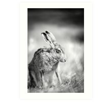 Hare by Peter Ranscombe