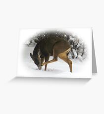 Deer With An Itch Greeting Card