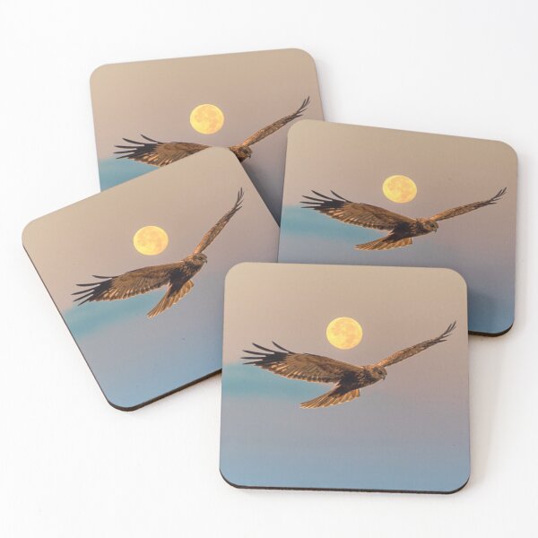 Item preview, Marsh Harrier with Full Moon at Sunrise designed and sold by Jon Shore.